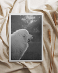 Photo d'impression Marley